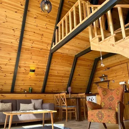 Teona 4* كارتيبي