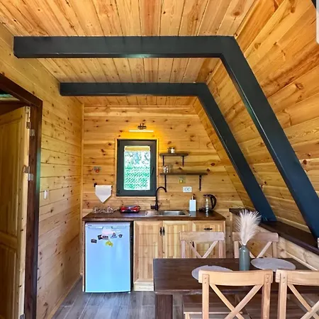Teona Картепе