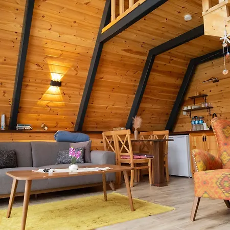 Teona 3* Картепе