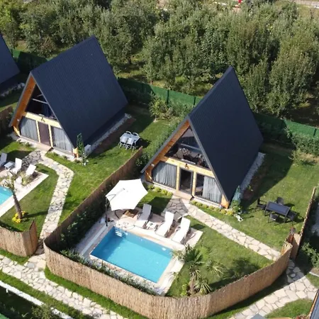 Teona كارتيبي