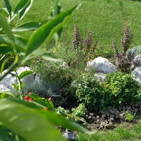Teona Kartepe