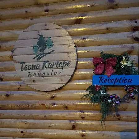 Teona فندق مبيت وإفطار