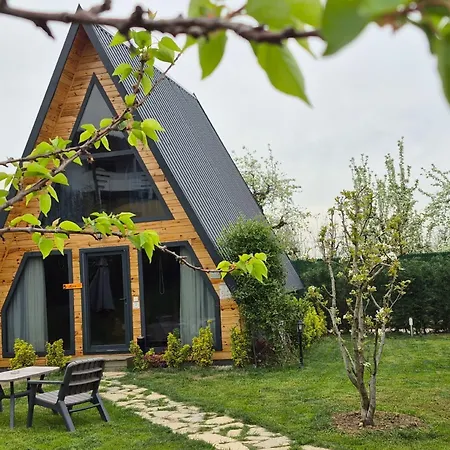 Teona 3* Kartepe